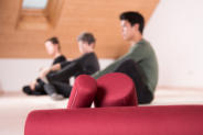 Yvonne Kobler Shrestha, Feldenkrais Gruppentherapie